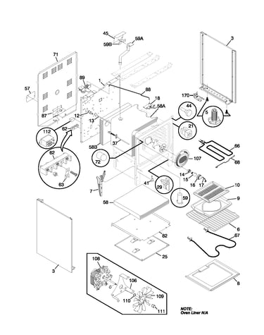 Body