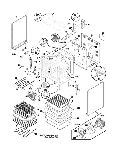 Body