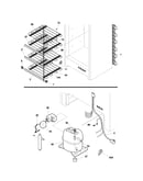 System