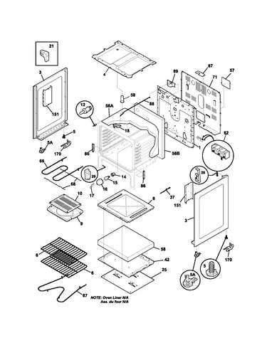 Body