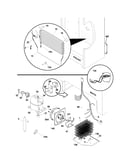 System