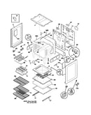 Body