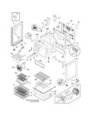 Body