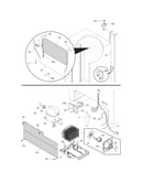 System