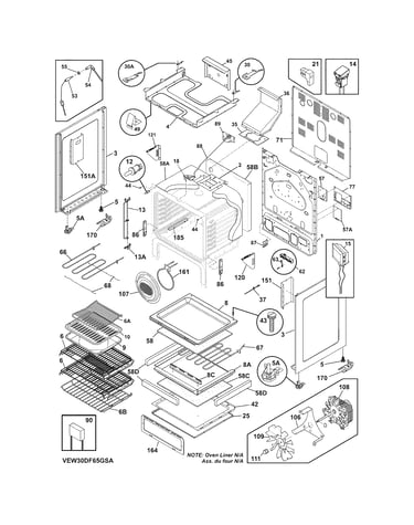 Body