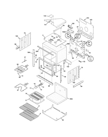 Body