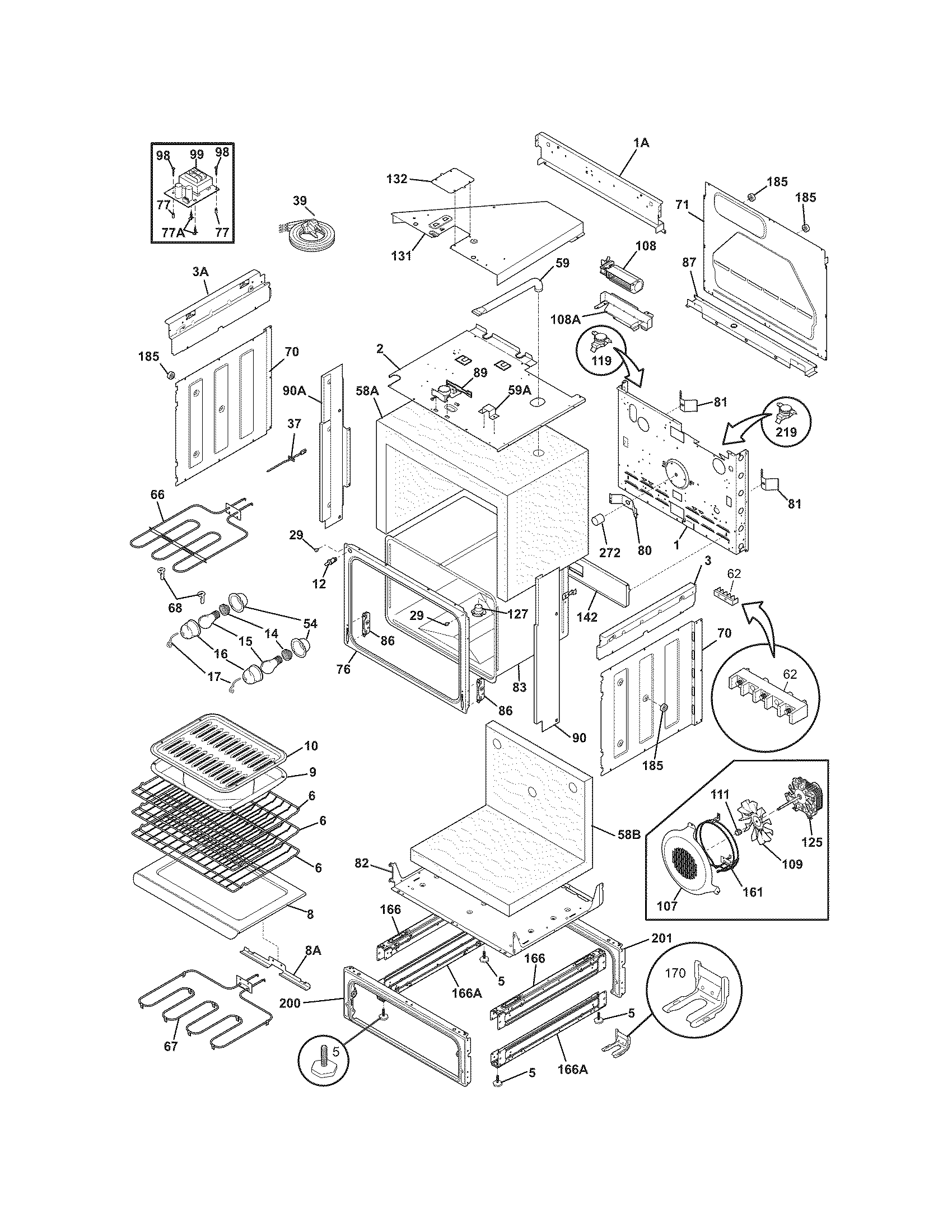 Body