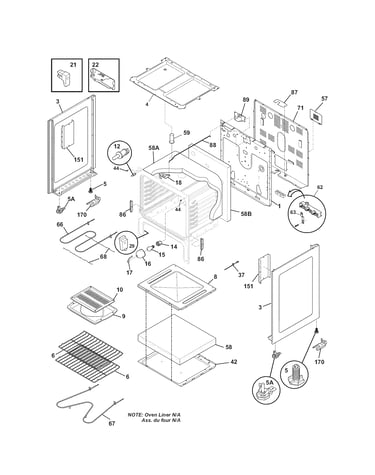 Body