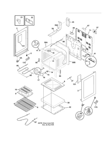 Body