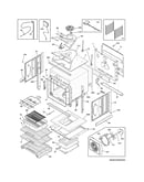 Body
