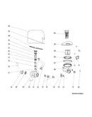 Motor and pump