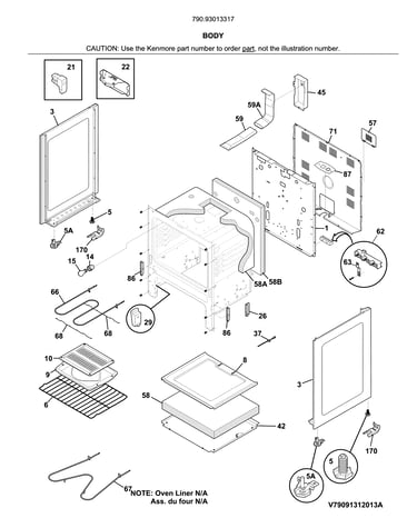 Body