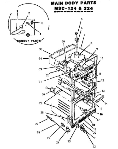 Main body