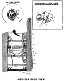 Back view (msc224)