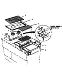 Body (gcr484gd)