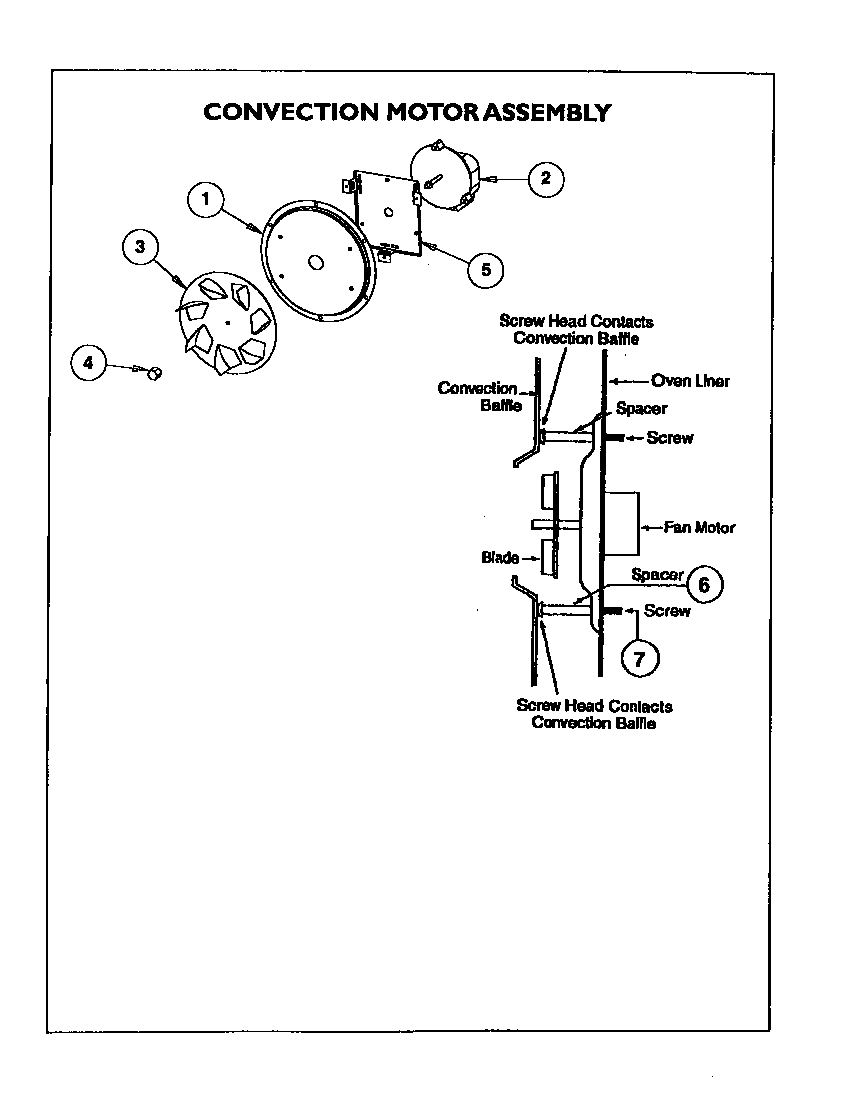 CONVECTION MOTOR ASSEMBLY