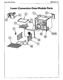 Lower convection oven module