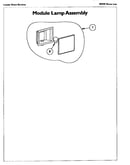 Module lamp assembly