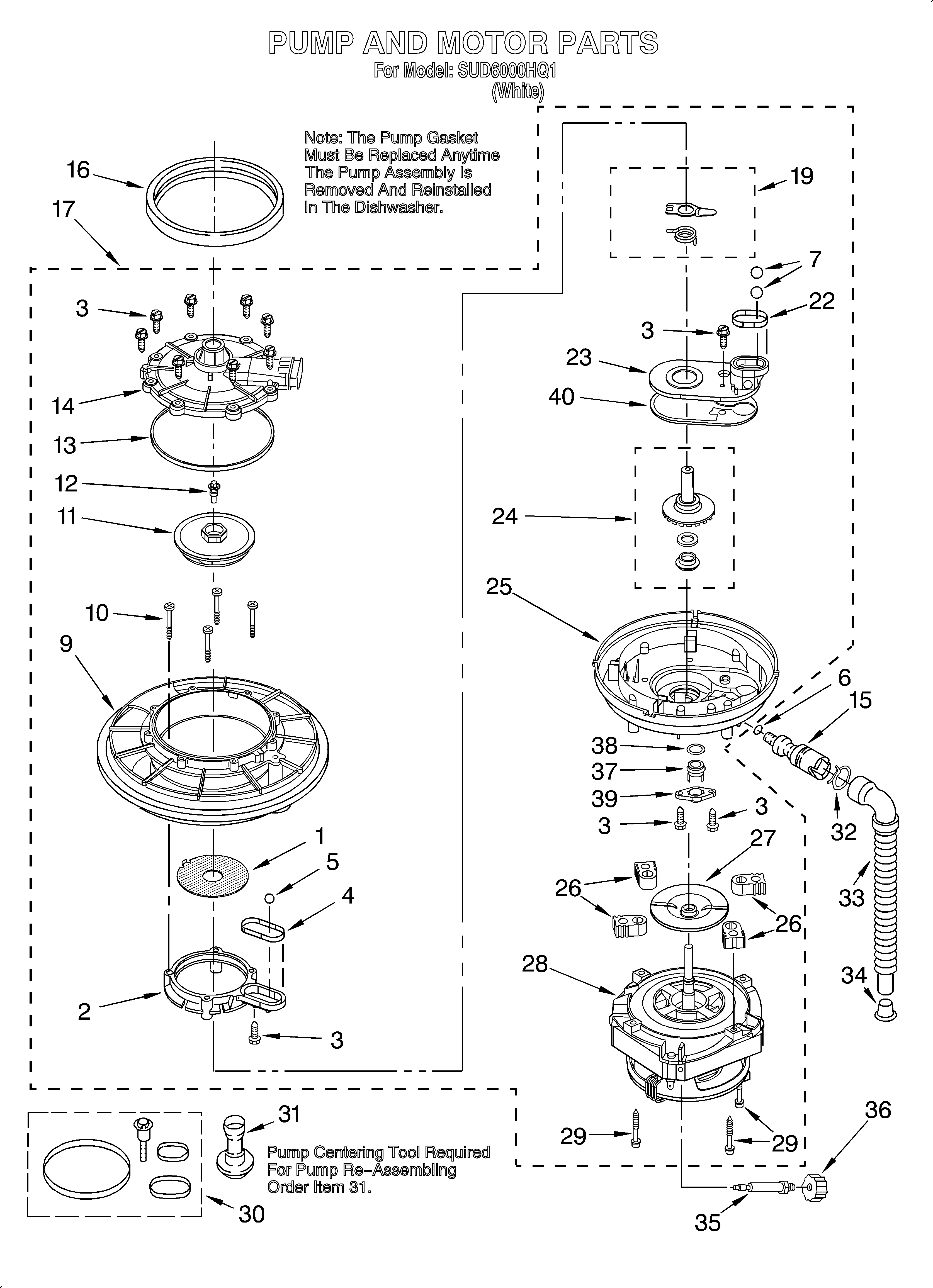 Pump and motor