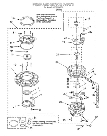 Pump and motor