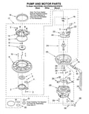 Pump and motor