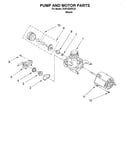 Pump and motor