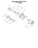 Pump and motor