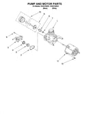 Pump and motor