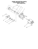 Pump and motor