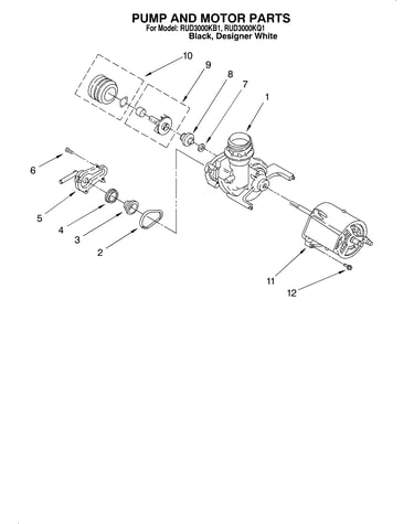 Pump and motor