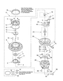 Pump and motor