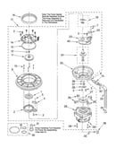 Pump and motor
