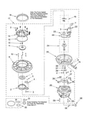 Pump and motor