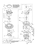 Pump and motor