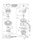 Pump and motor