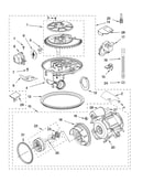 Pump and motor parts