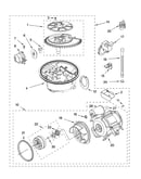 Pump and motor parts