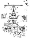 Pump & motor