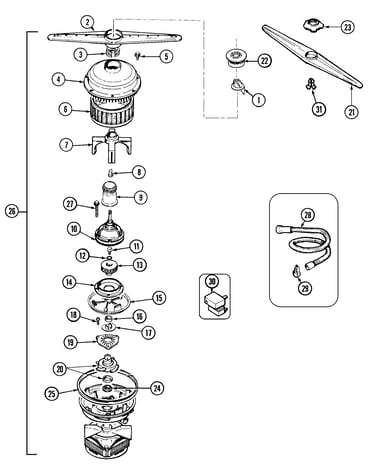 Pump & motor