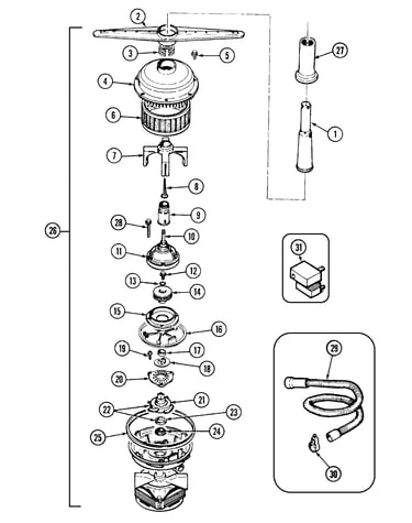 Pump & motor