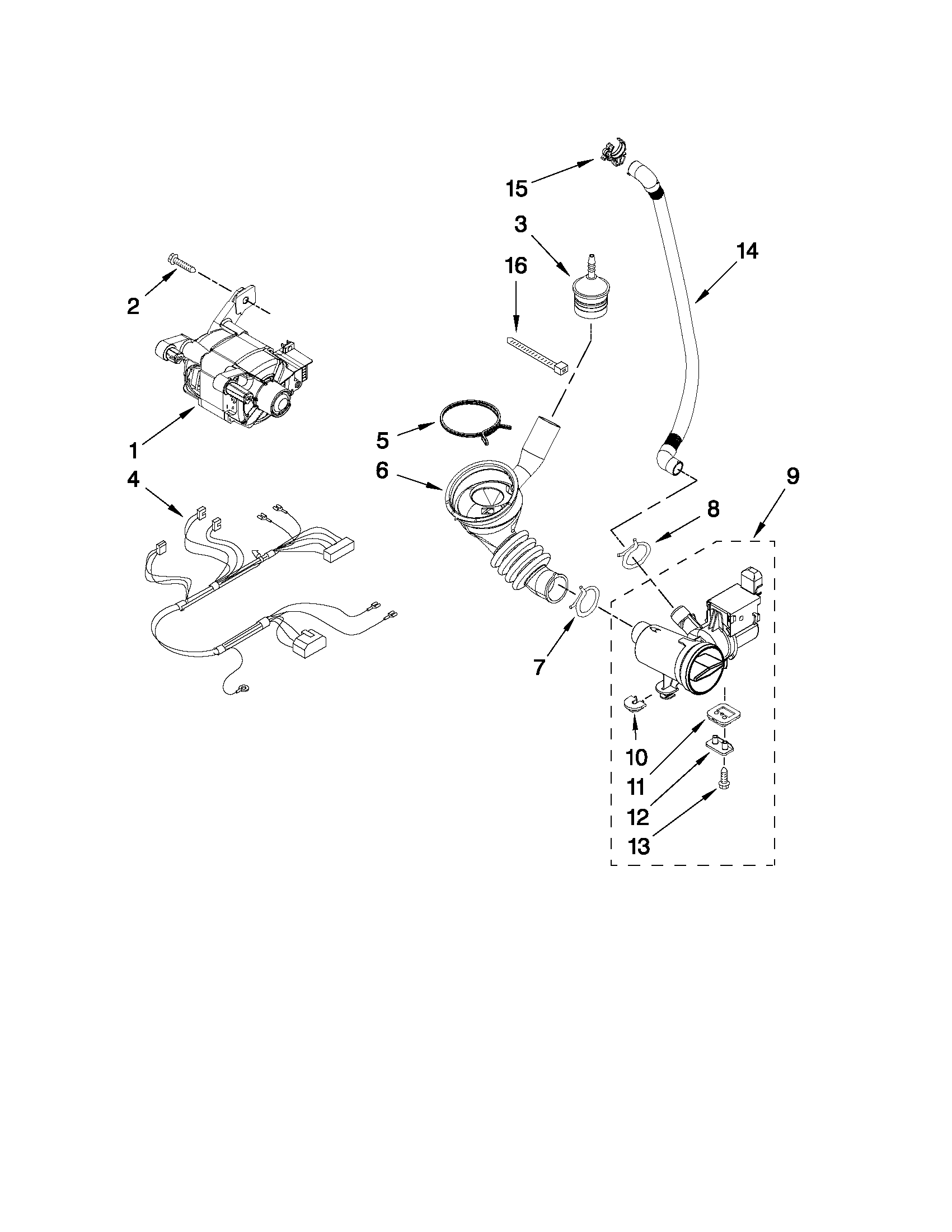 Pump and motor parts