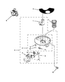 Pump and motor parts