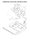 Burner box, gas valves, and switch parts