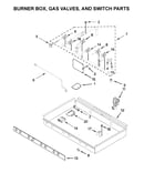 Burner box, gas valves, and switch parts