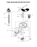 Pump, washarm and motor parts