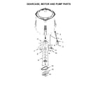 Maytag 7MMVWC100DW2 gearcase, motor and pump parts diagram