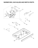 Burner box, gas valves and switch parts