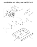 Burner box, gas valves and switch parts