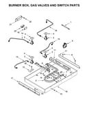 Burner box, gas valves and switch parts