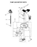 Pump and motor parts